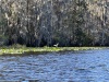 IMG_6863