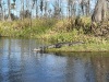 IMG_6899