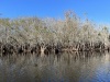 IMG_6917